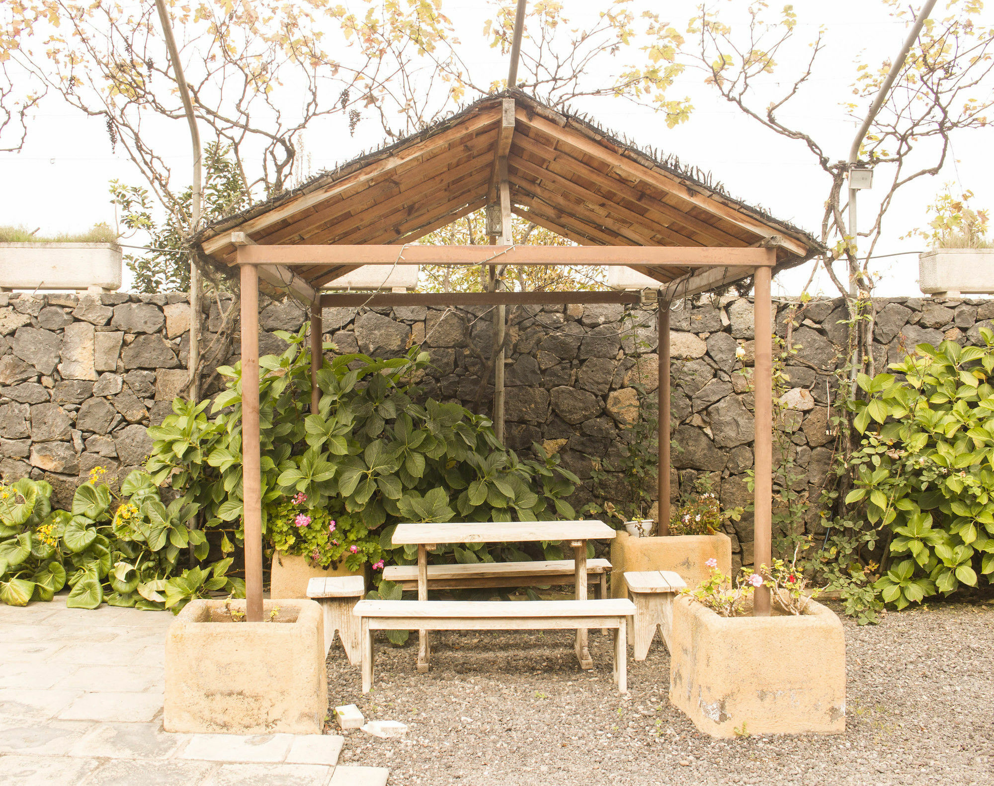 Casa Rural La Tanquera Los Realejos Ngoại thất bức ảnh