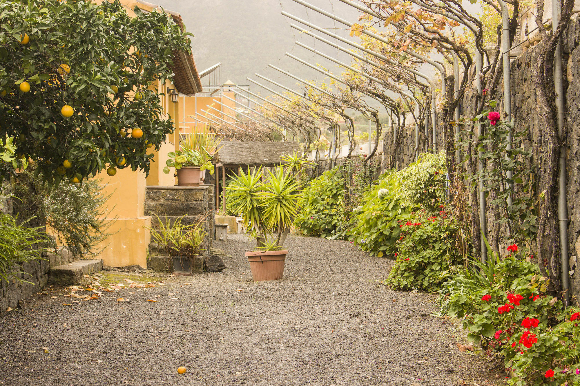 Casa Rural La Tanquera Los Realejos Ngoại thất bức ảnh